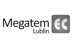 Megatem